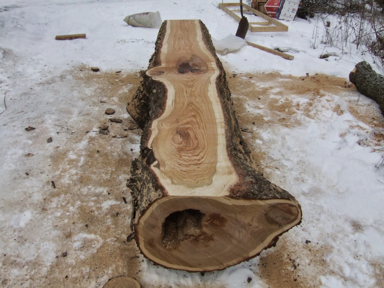 Black Cherry Log 